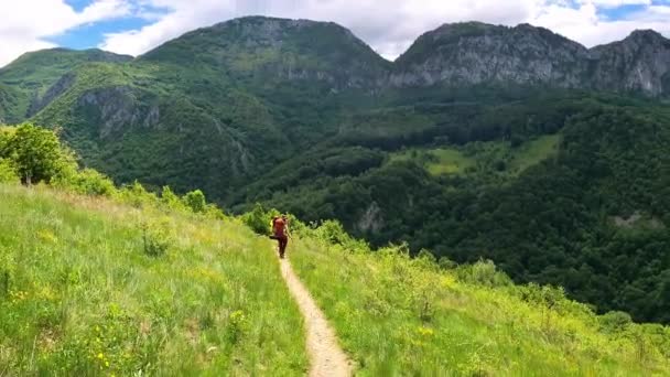 若い登山家は山を掃除し 廃棄物を収集し 晴れた夏の日に山道を歩く — ストック動画