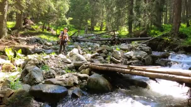 Frau Überquert Fluss Auf Holzbrücke Gebirge Sommerzeit — Stockvideo