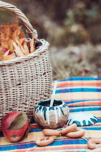 Höst Picknick Naturen Blad Rutig Äpplen Korg Bagels Honung — Stockfoto