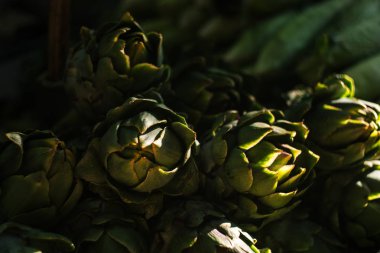 içinde belgili tanımlık çarşı yeşil enginar üzerinde güneş ışınları kalmaktadır