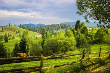 Ukrayna Karpatlar, dağ manzarası, ağaçlar, dağlar, gökyüzü, ahşap çit