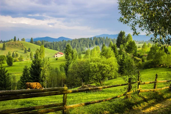Oekraïense Karpaten Berglandschap Met Bomen Bergen Hemel Houten Hek — Stockfoto