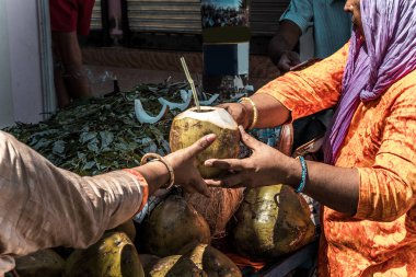 Doğu kadın Hindistan cevizi Hindistan pazarda satıyor