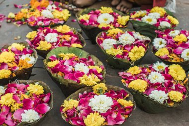 Hindistan sokaklarındaki tanrılara hediye olarak sepetlerde çok renkli çiçekler.