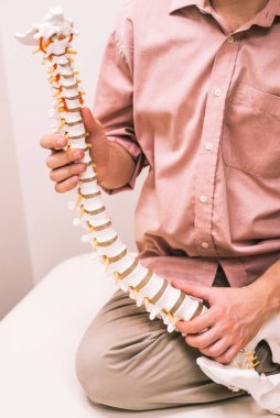 Adamın elinde bir insan omurgası modeli var, osteopati.