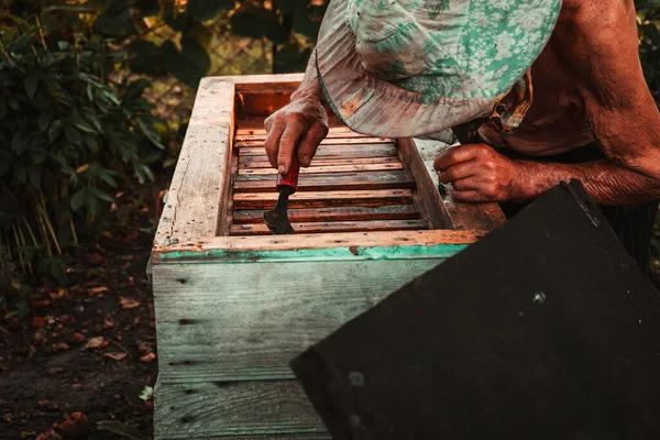 old man working in an apiary near the beehive with honey and bees 1