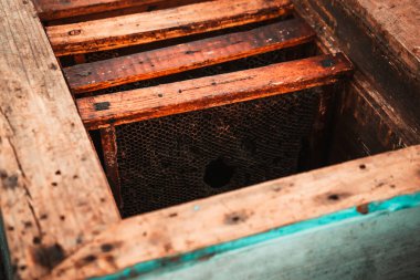 Arı kovanında balı çerçeveler Arı kovanında