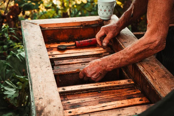 Mężczyzna Pracuje Pasiece Narzędziami Pobliżu Uli Miodem Pszczołami — Zdjęcie stockowe