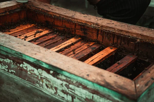 Arı kovanında balı çerçeveler. Arı kovanında.
