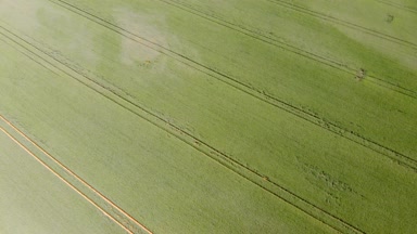 Polonya yukarıdan alanlara