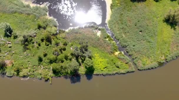 Ποταμού Odra Από Ψηλά — Αρχείο Βίντεο