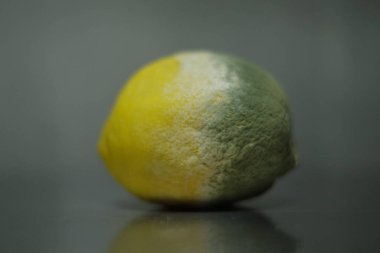 Yarım çürük limon yakın plan.