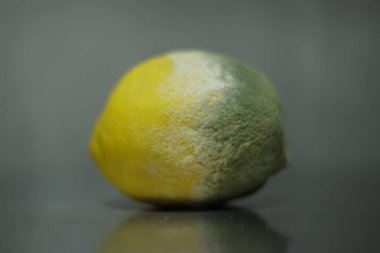 Yarım çürük limon yakın plan.