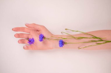 Mavi çiçekli güzel kadın elleri, beyaz arka planda izole edilmiş kadın vücudu, Spa, doğal el kozmetikleri, lüks güzellik salonu ve kaplıca, manikür ve masaj konsepti.