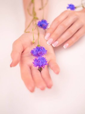 Mavi çiçekli güzel kadın elleri, beyaz arka planda izole edilmiş kadın vücudu, Spa, doğal el kozmetikleri, lüks güzellik salonu ve kaplıca, manikür ve masaj konsepti.