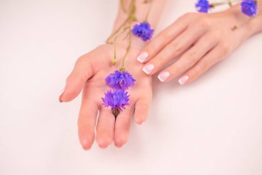 Mavi çiçekli güzel kadın elleri, beyaz arka planda izole edilmiş kadın vücudu, Spa, doğal el kozmetikleri, lüks güzellik salonu ve kaplıca, manikür ve masaj konsepti.