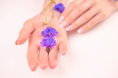 Mavi çiçekli güzel kadın elleri, beyaz arka planda izole edilmiş kadın vücudu, Spa, doğal el kozmetikleri, lüks güzellik salonu ve kaplıca, manikür ve masaj konsepti.