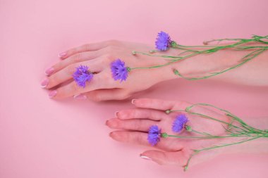 Mavi çiçekli güzel kadın elleri, beyaz arka planda izole edilmiş kadın vücudu, Spa, doğal el kozmetikleri, lüks güzellik salonu ve kaplıca, manikür ve masaj konsepti.