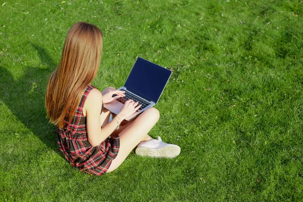 Parkta yeşil çimlerin üzerinde dizüstü bilgisayar kullanan genç bir kadın. Boş zaman aktivite kavramı. 