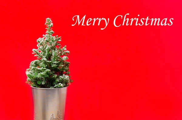 红色背景上的迷你圣诞树 简约的概念 — 图库照片