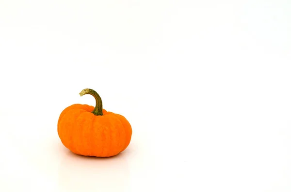 Zucca Arancione Sfondo Bianco Concetto Ringraziamento Halloween — Foto Stock