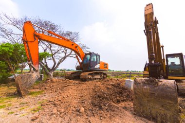 Turuncu beko iniş yaptı.