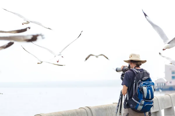 Atrás Dos Fotógrafos Tirar Uma Foto — Fotografia de Stock