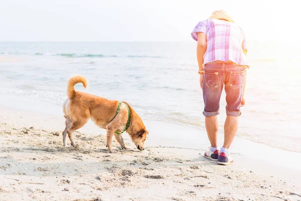 Homem Brincar Com Cão Praia — Fotografia de Stock