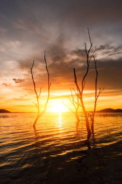 ağaç, Güneş, bulut ve su manzara olmak. Dağın arka plan göl vardır.