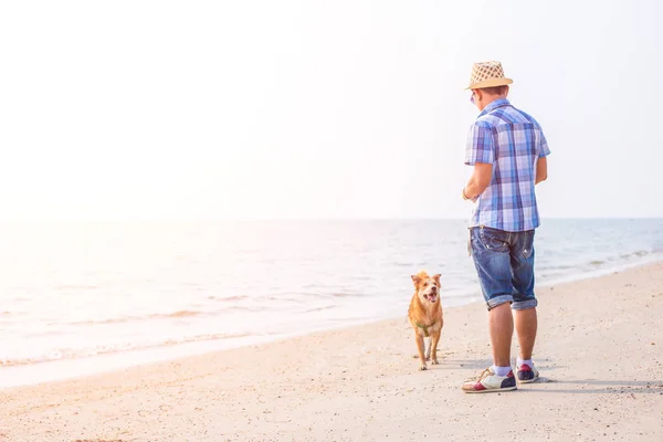 Uomo Gioca Con Cane Sulla Spiaggia — Foto Stock