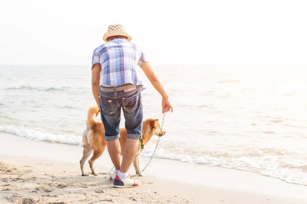 Uomo Gioca Con Cane Sulla Spiaggia — Foto Stock
