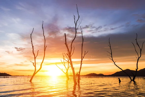 Árvore Sol Nuvem Água Para Ser Paisagem Montanha São Fundo — Fotografia de Stock