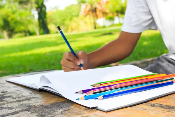 学生练习用铅笔在公园里画画 蜡笔在白皮书上 — 图库照片