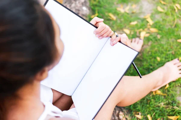 Femmes Assises Près Grand Arbre Dessinant Dans Parc — Photo