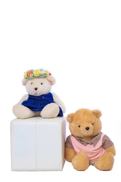 Baby Doll Bear White Background — Stock Photo, Image