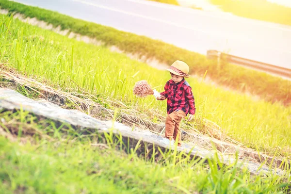 Dzieci Nosić Kapelusz Chodzenie Schody Dzieci Posiadają Kwiat Pobliżu Drogach — Zdjęcie stockowe