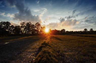 küçük alan ve günbatımı altın saat gökte.