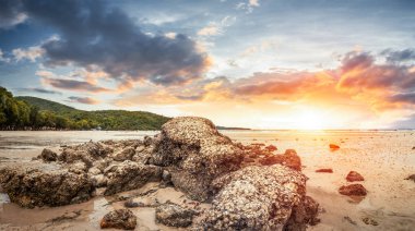 Kum ve günbatımı güzel bir bulut ile kayaya.