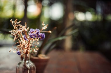 Şişe kavanoz ve küçük ağaç saksı içinde çiçek ve onlar are üstünde kafede ahşap masa.