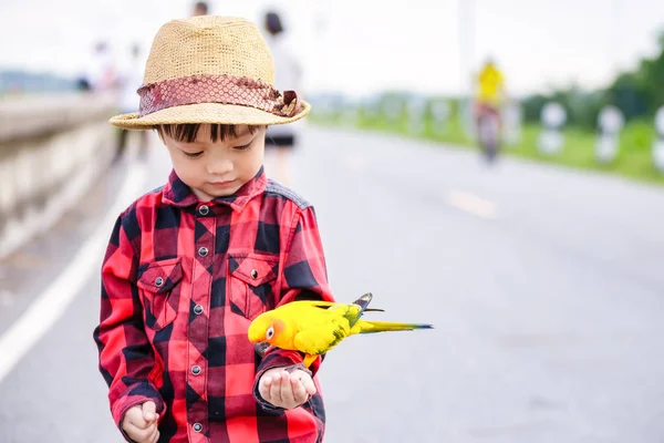 Ein Vogel Auf Kinderhand Park — Stockfoto