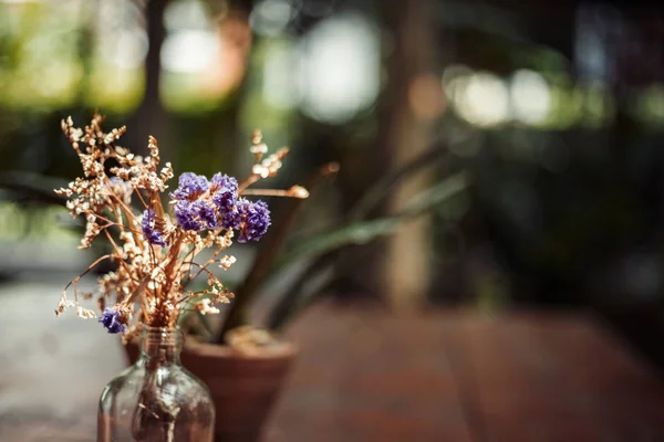 Une Fleur Pot Bouteille Petit Arbre Pot Fleurs Ils Sont — Photo