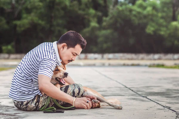 Hands Man Find Flea Tick Dog Skin Hair — Stock Photo, Image