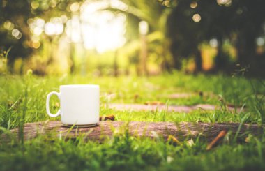 Bir fincan kahve sabah güneşi yere.