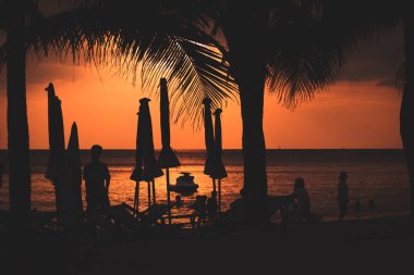 Hindistan cevizi ağacı ve deniz suyu arasında sunset yakınında sahilde siluet insanlar stand