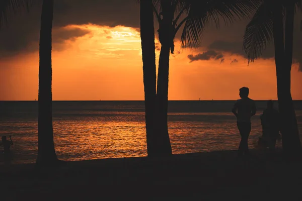 Silhouette People Stand Beach Coconut Tree Sea Water Sunset — Stock Photo, Image