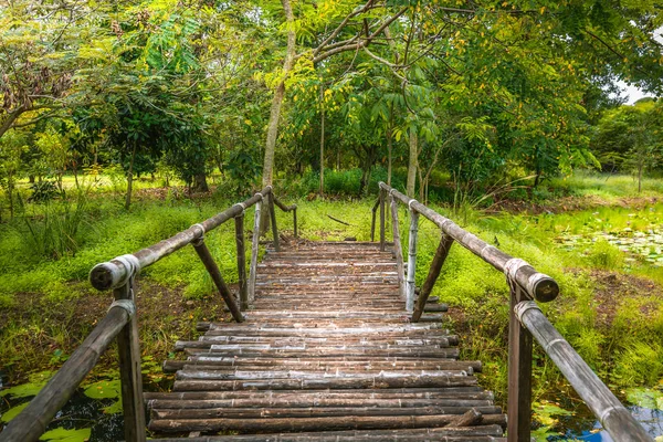 Puentes Bambú Selvas Tropicales — Foto de Stock
