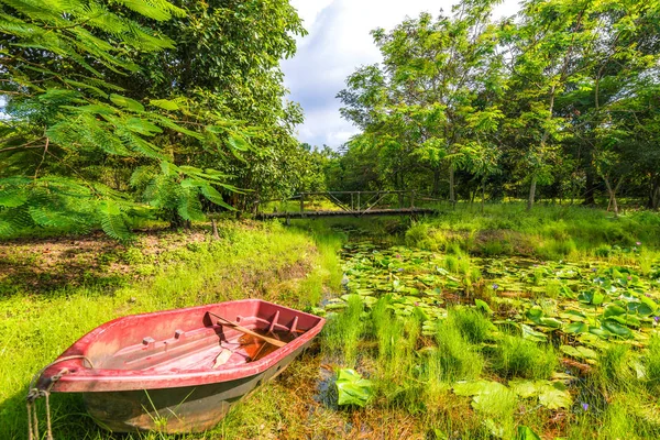 Sonniger Tag Mit Teich Wald Ein Boot Teichnähe — Stockfoto