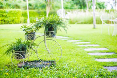 Bahçe ve taze yeşil çim Bisiklet.