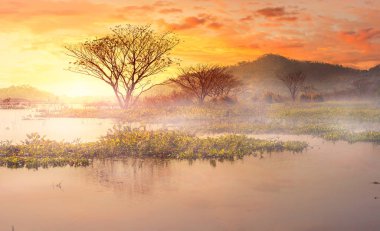İnci Gölü sabah sis. su ve güzel gökyüzü ile geri dağ ağacı.