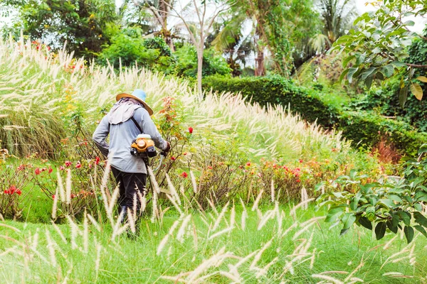 The worker of a garden cuts off a grass. The man in a uniform of the general worker works at a lawn.